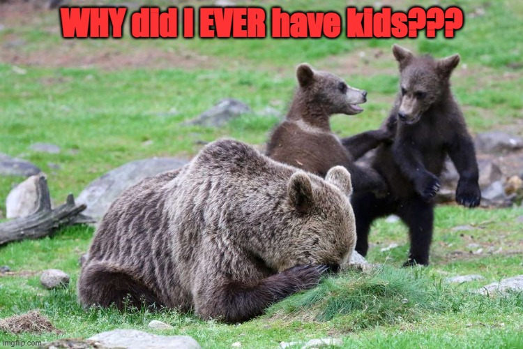 Motherhood | WHY did I EVER have kids??? | image tagged in shut up | made w/ Imgflip meme maker