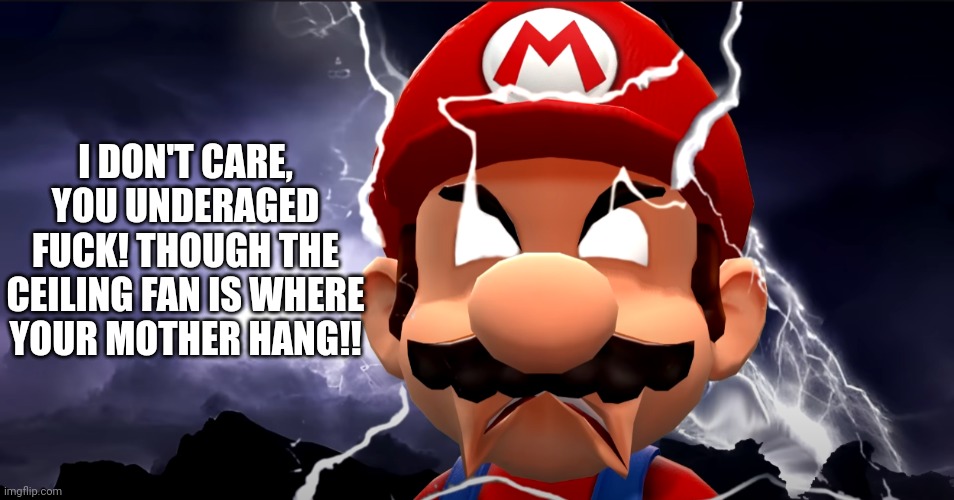 LowTierGod Mario V2 | I DON'T CARE, YOU UNDERAGED FUCK! THOUGH THE CEILING FAN IS WHERE YOUR MOTHER HANG!! | image tagged in lowtiergod mario v2 | made w/ Imgflip meme maker