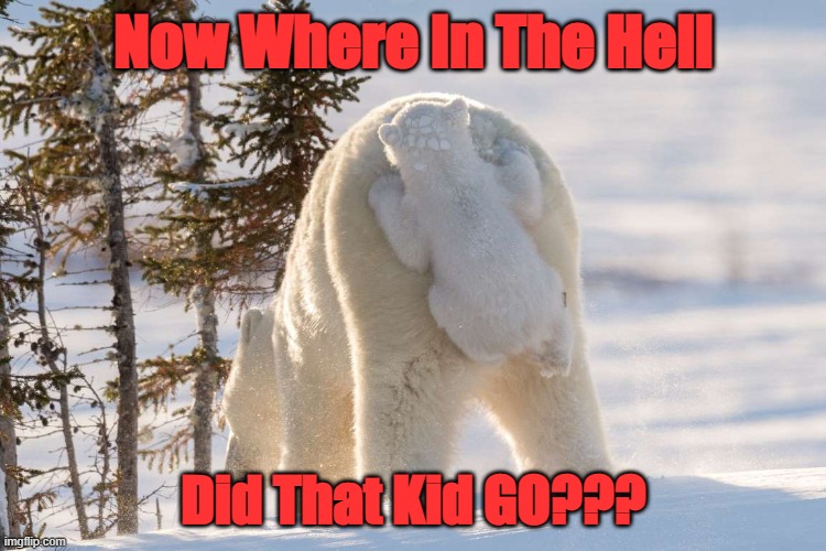 Lost Something | Now Where In The Hell; Did That Kid GO??? | image tagged in parenthood | made w/ Imgflip meme maker