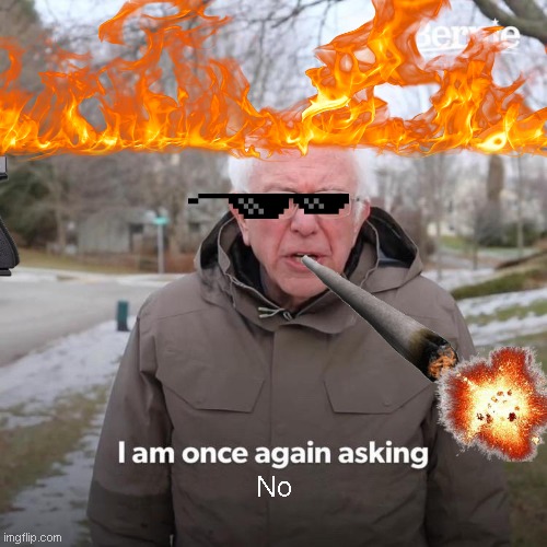Bernie I Am Once Again Asking For Your Support | No | image tagged in memes,bernie i am once again asking for your support | made w/ Imgflip meme maker