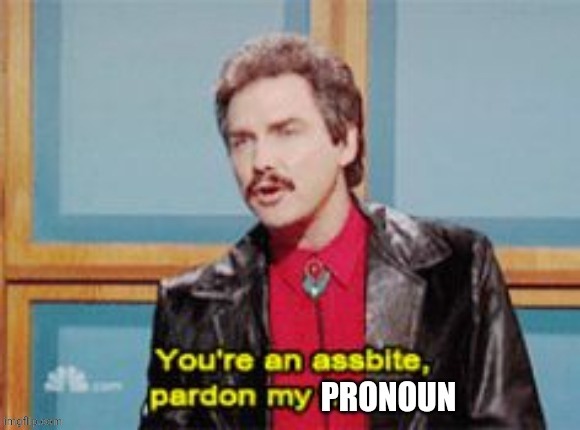 image tagged in weekend update with norm,pronouns | made w/ Imgflip meme maker