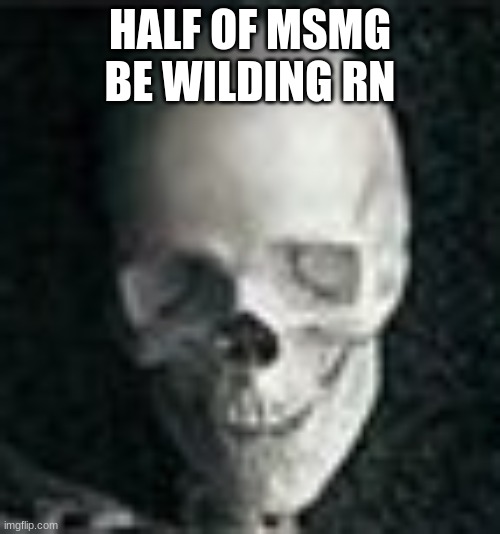 i might just come back in a few hours and hope everything has died down. | HALF OF MSMG BE WILDING RN | image tagged in skull | made w/ Imgflip meme maker