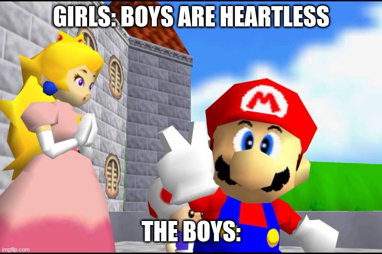 Super Mario 64 | GIRLS: BOYS ARE HEARTLESS; THE BOYS: | image tagged in super mario 64 | made w/ Imgflip meme maker