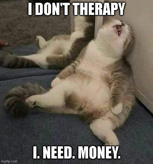 I NEED MONEYYYYY | I DON'T THERAPY; I. NEED. MONEY. | image tagged in memes,funny memes,cat,cat memes,funny cat memes,persian cat room guardian | made w/ Imgflip meme maker