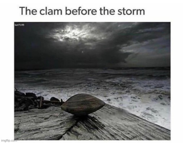 clam | image tagged in dive,clam | made w/ Imgflip meme maker