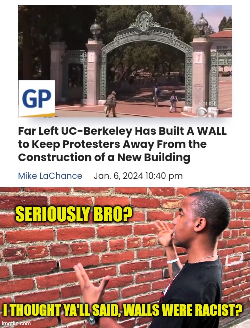 Leftist college is racist | SERIOUSLY BRO? I THOUGHT YA'LL SAID, WALLS WERE RACIST? | image tagged in talking to wall,racist,wall | made w/ Imgflip meme maker