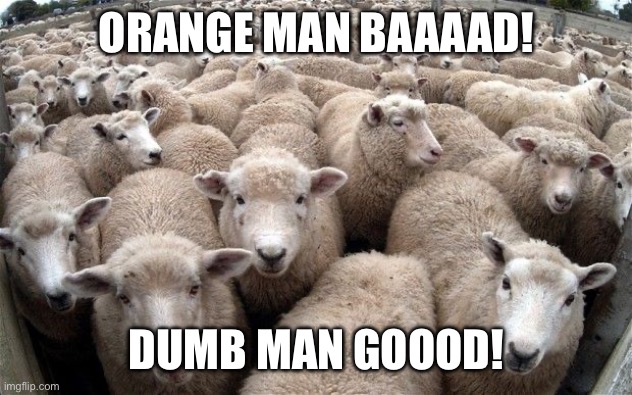 Democrats be like | ORANGE MAN BAAAAD! DUMB MAN GOOOD! | image tagged in sheeple | made w/ Imgflip meme maker