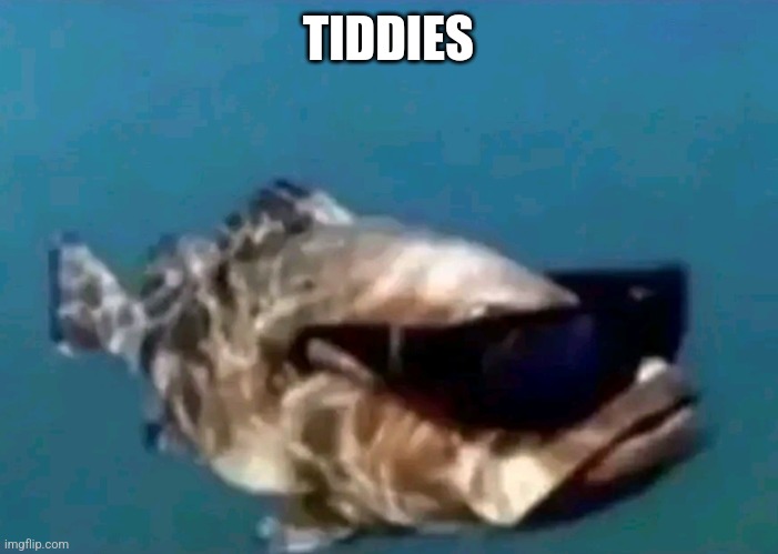 Hi | TIDDIES | image tagged in hi | made w/ Imgflip meme maker