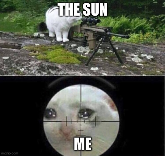 Sniper cat aim crying cat | THE SUN ME | image tagged in sniper cat aim crying cat | made w/ Imgflip meme maker