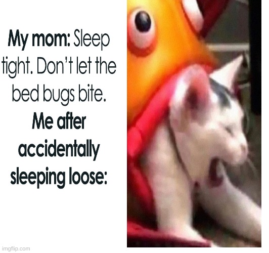 bedbugs. | image tagged in bedbugs | made w/ Imgflip meme maker