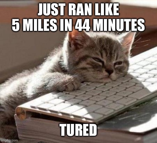tired cat | JUST RAN LIKE 5 MILES IN 44 MINUTES; TIRED | image tagged in tired cat | made w/ Imgflip meme maker