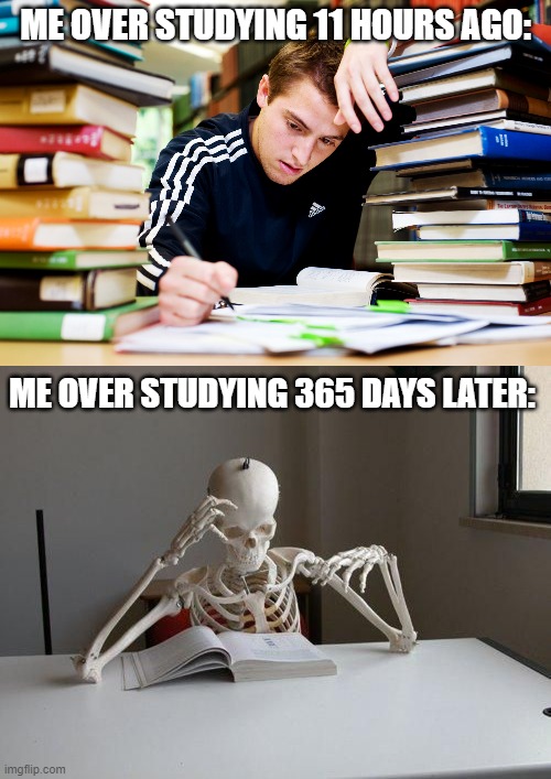 Trust me. Over studying is no fun. | ME OVER STUDYING 11 HOURS AGO:; ME OVER STUDYING 365 DAYS LATER: | image tagged in studying | made w/ Imgflip meme maker