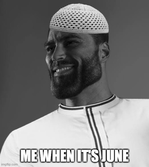 The one thing I like about Muslims | ME WHEN IT'S JUNE | image tagged in muslim gigachad,lgbtq,lgbt,muslim,chad | made w/ Imgflip meme maker
