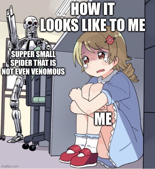 Spider | HOW IT LOOKS LIKE TO ME; SUPPER SMALL SPIDER THAT IS NOT EVEN VENOMOUS; ME | image tagged in anime girl hiding from terminator,spider,arachnophobia | made w/ Imgflip meme maker