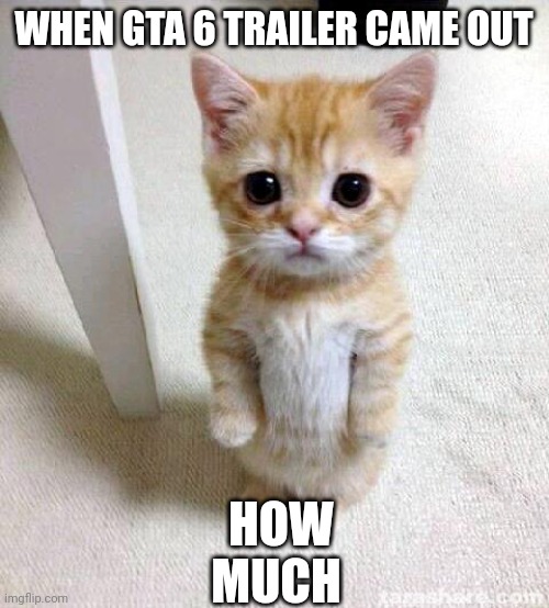Cute Cat | WHEN GTA 6 TRAILER CAME OUT; HOW MUCH | image tagged in memes,cute cat | made w/ Imgflip meme maker