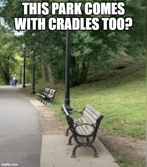 Benched | THIS PARK COMES WITH CRADLES TOO? | image tagged in you had one job | made w/ Imgflip meme maker