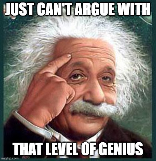 einstein | JUST CAN'T ARGUE WITH THAT LEVEL OF GENIUS | image tagged in einstein | made w/ Imgflip meme maker