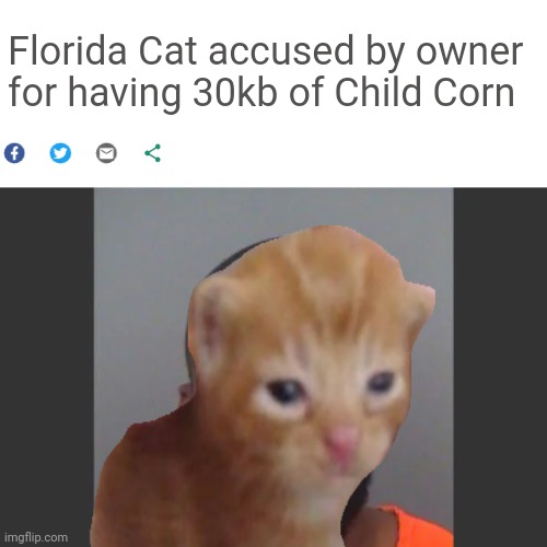 Florida Cat accused by owner for having 30kb of Child Corn | image tagged in florida man | made w/ Imgflip meme maker