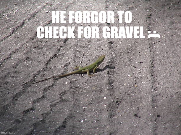 HE FORGOR TO CHECK FOR GRAVEL; :( | made w/ Imgflip meme maker