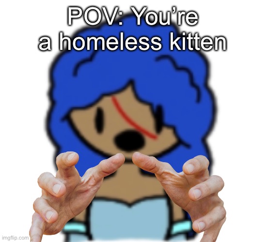 POV: You’re a homeless kitten | made w/ Imgflip meme maker