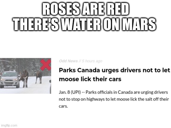 Moose are cool | ROSES ARE RED
THERE'S WATER ON MARS | image tagged in blank white template | made w/ Imgflip meme maker