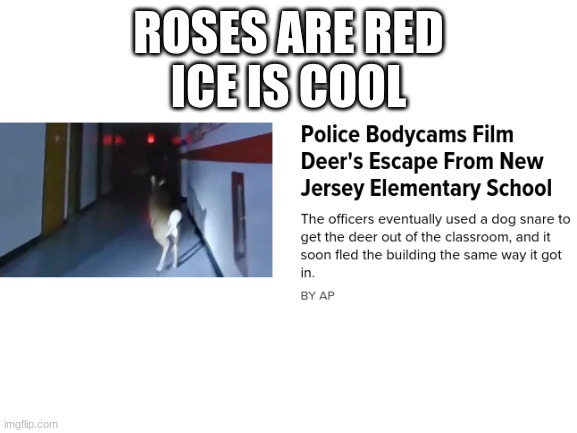 But how did it get in? | ROSES ARE RED
ICE IS COOL | image tagged in blank white template | made w/ Imgflip meme maker