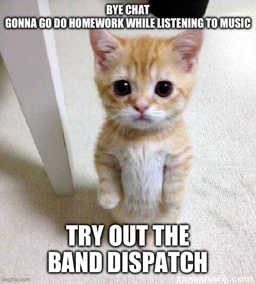 Cute Cat Meme | BYE CHAT
GONNA GO DO HOMEWORK WHILE LISTENING TO MUSIC; TRY OUT THE BAND DISPATCH | image tagged in memes,cute cat | made w/ Imgflip meme maker