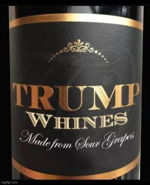 TRUMP WHINE | image tagged in donald trump,whine,loser,liar,sour grapes,maga | made w/ Imgflip meme maker