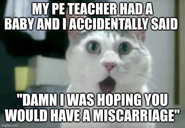 srs | MY PE TEACHER HAD A BABY AND I ACCIDENTALLY SAID; "DAMN I WAS HOPING YOU WOULD HAVE A MISCARRIAGE" | image tagged in memes,omg cat | made w/ Imgflip meme maker