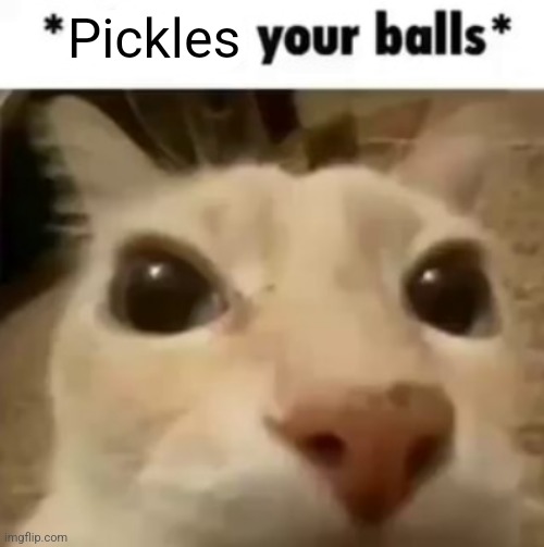 X your balls | Pickles | image tagged in x your balls | made w/ Imgflip meme maker