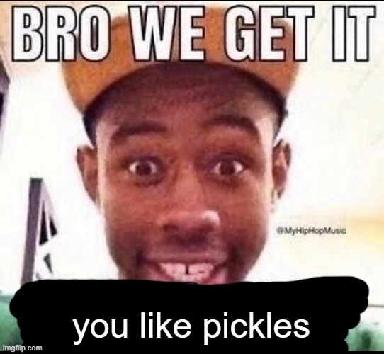 Bro we get it (blank) | you like pickles | image tagged in bro we get it blank | made w/ Imgflip meme maker