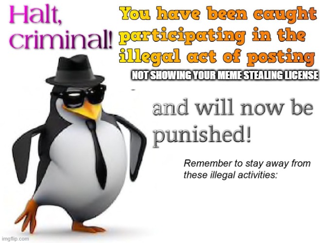 halt criminal! | NOT SHOWING YOUR MEME STEALING LICENSE | image tagged in halt criminal | made w/ Imgflip meme maker