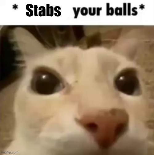 X your balls | Stabs | made w/ Imgflip meme maker