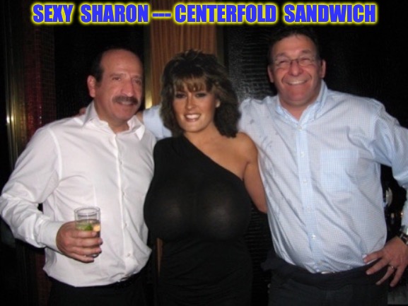 CENTERFOLD SANDWICH | SEXY  SHARON --- CENTERFOLD  SANDWICH | image tagged in big tits,centerfold,huge tits,sexy woman,hot body | made w/ Imgflip meme maker