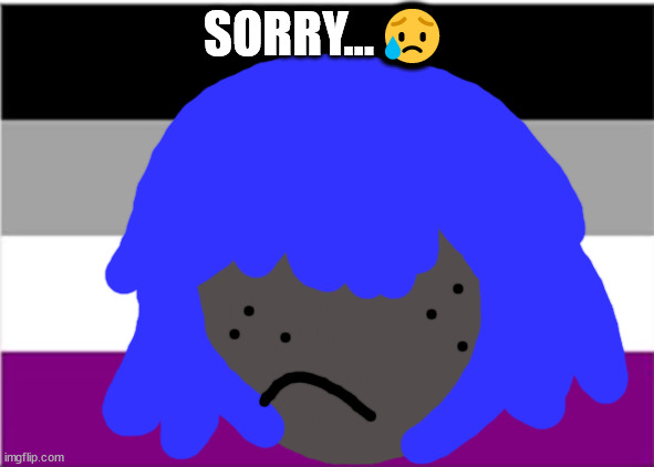 asexual flag | SORRY...😥 | made w/ Imgflip meme maker
