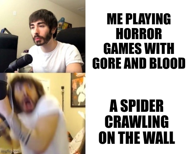 Gaming meme | ME PLAYING HORROR GAMES WITH GORE AND BLOOD; A SPIDER CRAWLING ON THE WALL | image tagged in penguinz0 | made w/ Imgflip meme maker