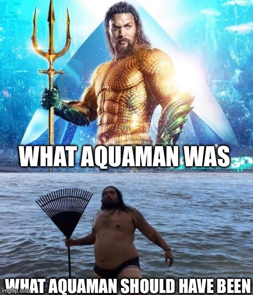 I was not very fond of Aquaman | WHAT AQUAMAN WAS; WHAT AQUAMAN SHOULD HAVE BEEN | image tagged in jason momoa,aquaman | made w/ Imgflip meme maker