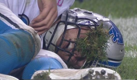 High Quality Stafford Grass Face Blank Meme Template