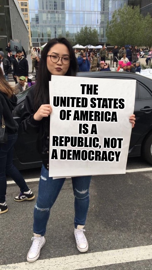 protestor | THE UNITED STATES OF AMERICA IS A REPUBLIC, NOT A DEMOCRACY | image tagged in protestor,united states,us government,democrats,i love democracy,democracy | made w/ Imgflip meme maker