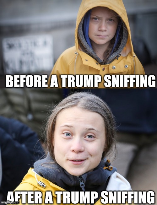 BEFORE A TRUMP SNIFFING AFTER A TRUMP SNIFFING | image tagged in angry greta,greta thunberg orgasm | made w/ Imgflip meme maker