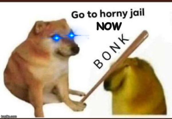 Go to horny jail | NOW | image tagged in go to horny jail | made w/ Imgflip meme maker