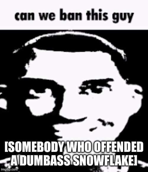 stfu | [SOMEBODY WHO OFFENDED A DUMBASS SNOWFLAKE] | image tagged in can we ban this guy | made w/ Imgflip meme maker