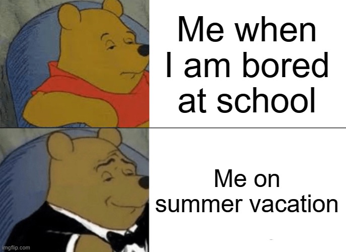 Tuxedo Winnie The Pooh | Me when I am bored at school; Me on summer vacation | image tagged in memes,tuxedo winnie the pooh | made w/ Imgflip meme maker