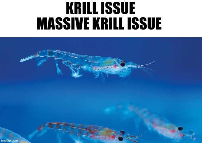 KRILL ISSUE
MASSIVE KRILL ISSUE | made w/ Imgflip meme maker