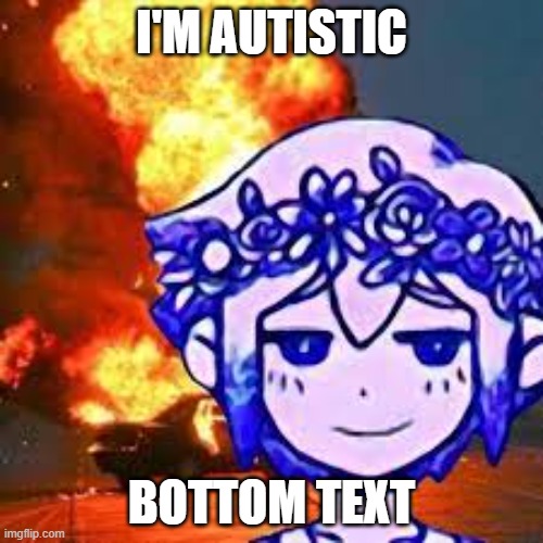 I'M AUTISTIC; BOTTOM TEXT | image tagged in autism | made w/ Imgflip meme maker
