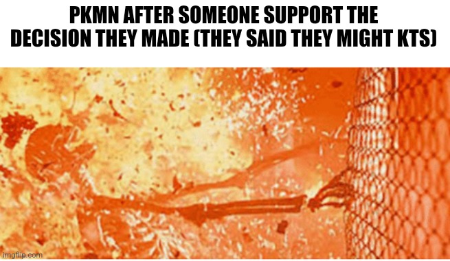 skeleton on fire | PKMN AFTER SOMEONE SUPPORT THE DECISION THEY MADE (THEY SAID THEY MIGHT KTS) | image tagged in skeleton on fire | made w/ Imgflip meme maker