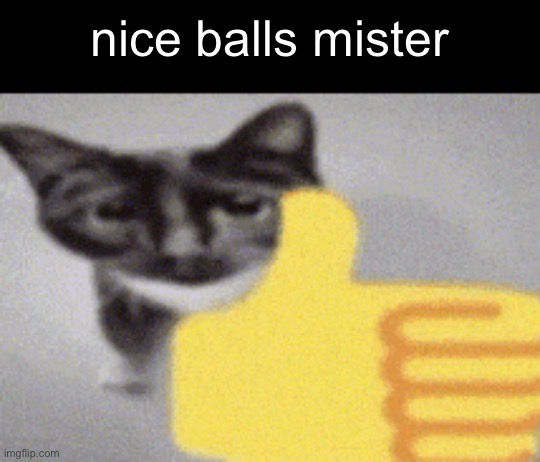 or if your female, “nice tiddies miss” | nice balls mister | image tagged in thumbs up cat | made w/ Imgflip meme maker