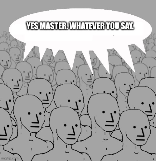 Npc | YES MASTER. WHATEVER YOU SAY. | image tagged in npc | made w/ Imgflip meme maker