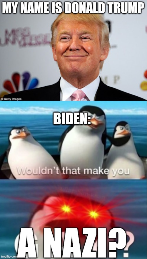 MY NAME IS DONALD TRUMP; BIDEN:; A NAZI? | image tagged in donald trump approves,wouldn't that make you gay | made w/ Imgflip meme maker