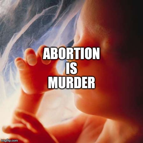 Suicide isn't, though. Your body, your choice and all that. | image tagged in abortion is murder | made w/ Imgflip meme maker